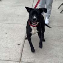 Thumbnail photo of Spot #1