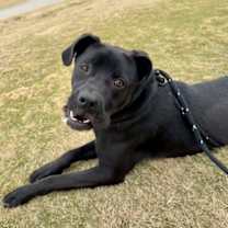 Thumbnail photo of Turkey #1