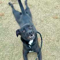 Thumbnail photo of Turkey #2