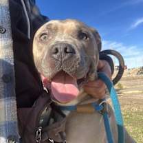 Thumbnail photo of JACK #2