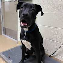 Thumbnail photo of Turkey #3