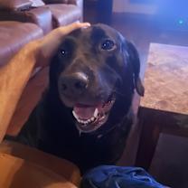 Thumbnail photo of Spot and Stella #3