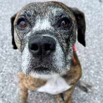 Thumbnail photo of Ricky #1