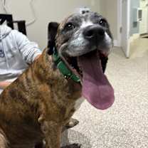 Thumbnail photo of Ricky #2