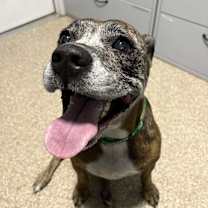 Thumbnail photo of Ricky #3