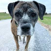 Thumbnail photo of Ricky #4