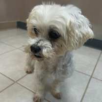 Thumbnail photo of Candy #1