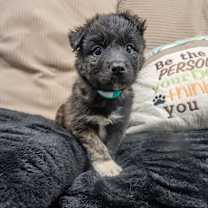 Thumbnail photo of Caroline  #1