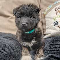 Thumbnail photo of Caroline  #2