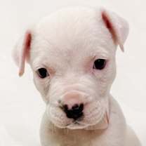 Thumbnail photo of 837 (2025) #1