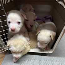 Thumbnail photo of 836 (2025) #2