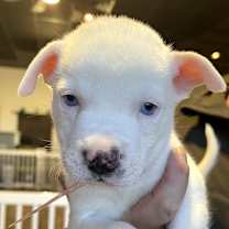 Thumbnail photo of 836 (2025) #3