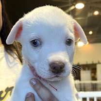 Thumbnail photo of 835 (2025) #3