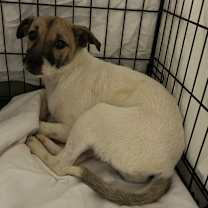 Thumbnail photo of 947 (2025) Sara #2