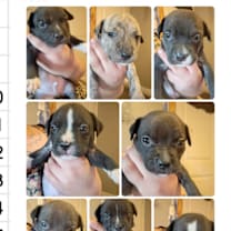 Thumbnail photo of 857 (2025) #2