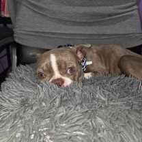 Thumbnail photo of Fenway #2