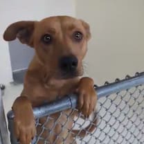 Thumbnail photo of Arya #1