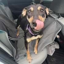 Thumbnail photo of Gabbers #3