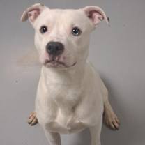 Thumbnail photo of Maverick #2