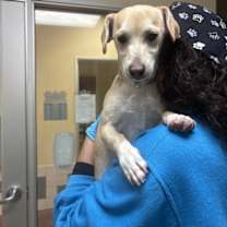 Thumbnail photo of Juan Pablo #2