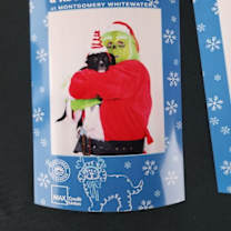 Thumbnail photo of 251729  Bubba #4