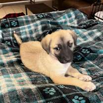 Thumbnail photo of Mavis #3