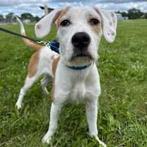 Thumbnail photo of Kirks #3