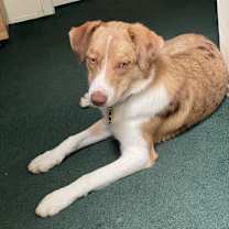 Thumbnail photo of Todd #1