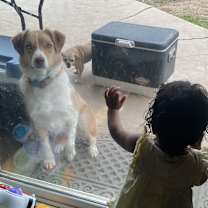 Thumbnail photo of Todd #2