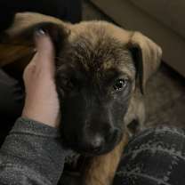 Thumbnail photo of Brazil #2