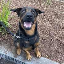 Thumbnail photo of Kanga #1