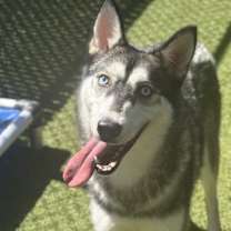 Thumbnail photo of Neptune #1