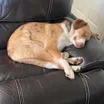 Thumbnail photo of Todd #3