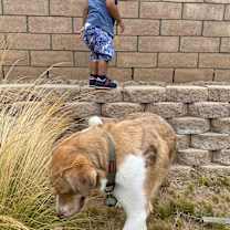 Thumbnail photo of Todd #4