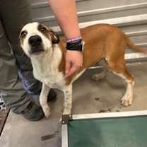 Thumbnail photo of Nelson #1