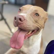 Thumbnail photo of Queen #1