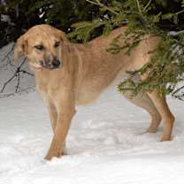 Thumbnail photo of Tia B #1