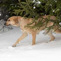 Thumbnail photo of Tia B #2