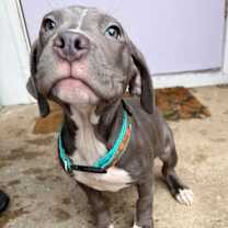 Thumbnail photo of Lucas #1