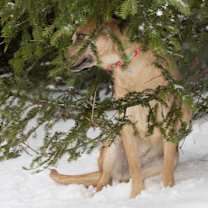 Thumbnail photo of Tia B #4