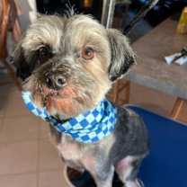 Thumbnail photo of Monty the Magnificent! #2