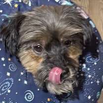 Thumbnail photo of Monty the Magnificent! #4