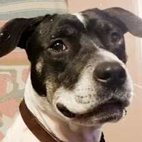 Thumbnail photo of Daisy #4