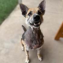 Thumbnail photo of Tex #1