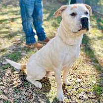 Thumbnail photo of Jose #3