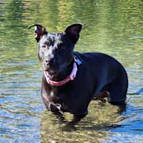 Thumbnail photo of Juno (real name) #4