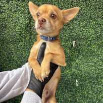 Thumbnail photo of SPIKE #2