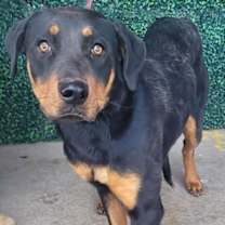 Thumbnail photo of 59937649 #2