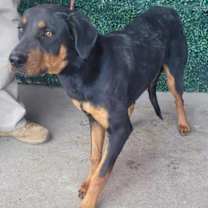 Thumbnail photo of 59937649 #3