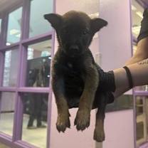 Thumbnail photo of JACOB. #2